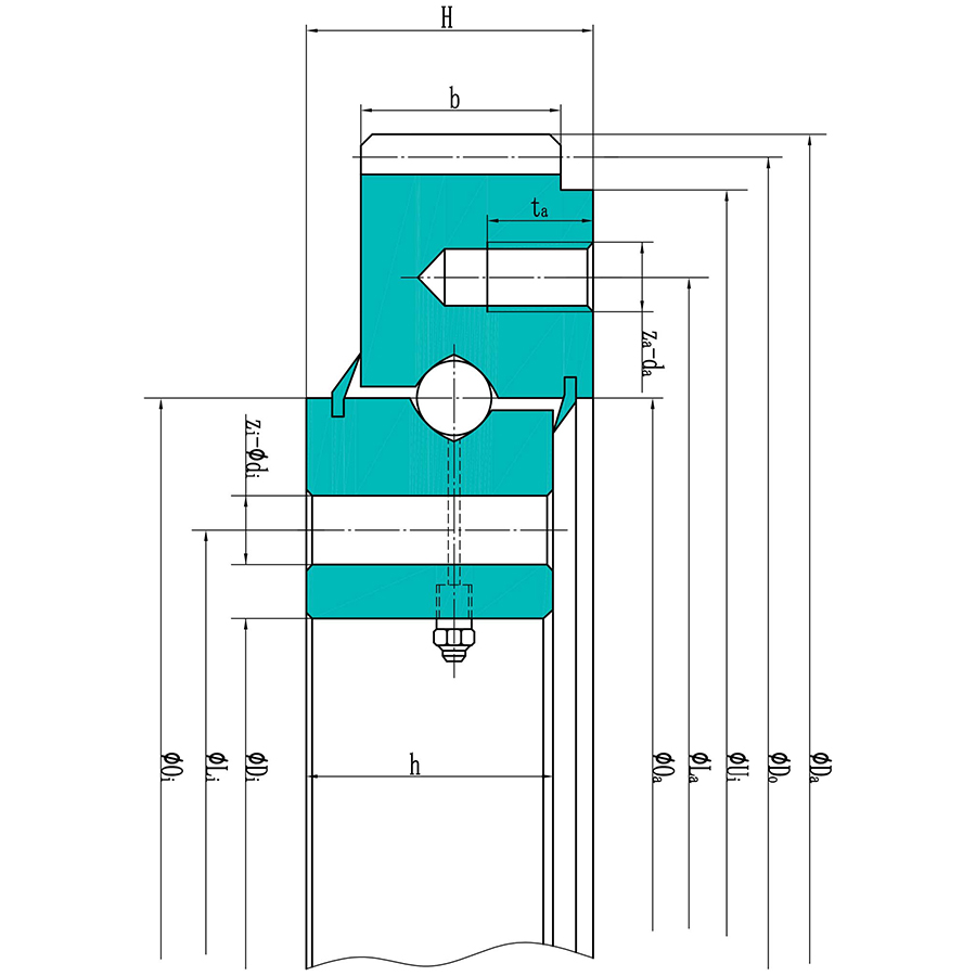 300DBS202y