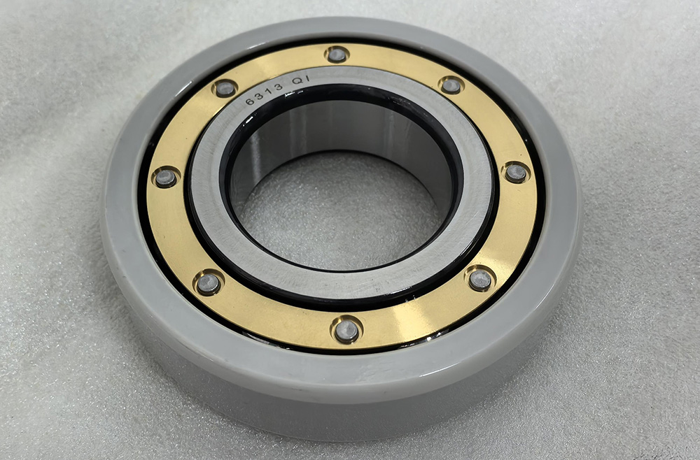 6313 QI bearing.jpg